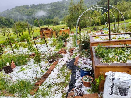 (FOTO) Močan naliv in gosta toča zalila in pobelila dvorišča: "Naenkrat se je čisto stemnilo"