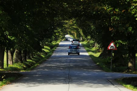 (ODZIV) Kdo je kriv za izgubljenih 350 tisoč evrov? Spor med občino in državo bo reševalo sodišče