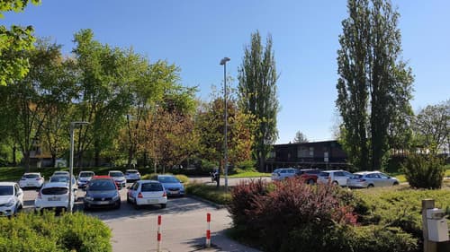 Na Ptuju takšna parkirna stiska, da meščanom parkirna mesta oddaja kar - Spar