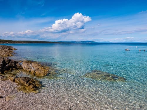 Ne smete se je niti dotakniti! Ena najbolj strupenih rib na svetu je priplavala tudi v bližino Splita