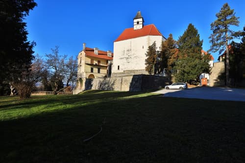 Dobrodelna dražba na gradu Borl