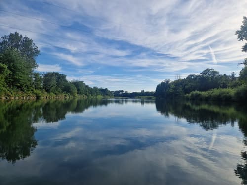 (FENOMENI) Kolumna Svetlane Slapšak: Dobrota je sirota … in obratno?