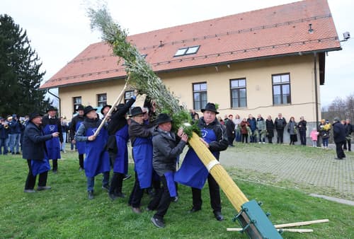 V Voličini postavili deset metrov visok presmec ter na ogled dali minule dosežke, tudi Guinnessova rekorda