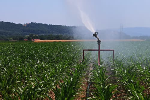 Gorišnica: Kmetije že z namakalnimi sistemi, a zaradi zamaknjenega razpisa ni dovolj opreme