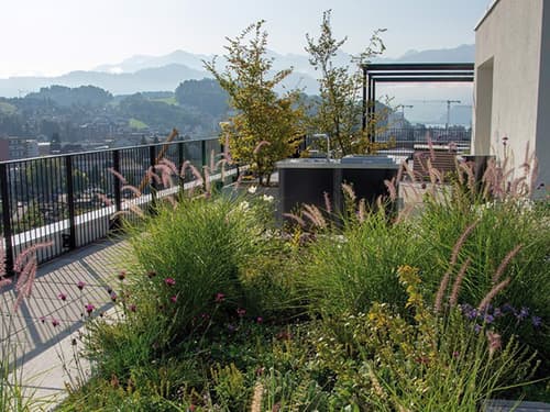 Zelene strehe: Naložba v bolj kakovostno bivanje in trajnostno prihodnost