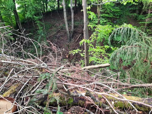 So stebri rešitev za dolgo pričakovano kolesarsko pot Celje–Laško?