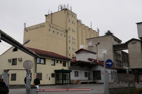 Peticija proti 21-milijonski subvenciji Perutnini Ptuj, zaščitniki živali zahtevajo preklic državne pomoči