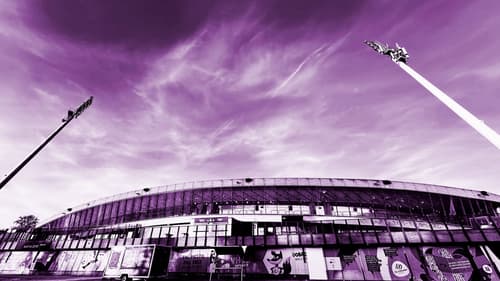 (MC-MB) NK Maribor in Viole: lokalpatrioti in/ali lumpenproletarci?