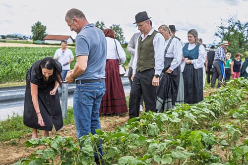 Slovenske železnice z vseslovenskim projektom setve sončnic povezujejo lokalne skupnosti