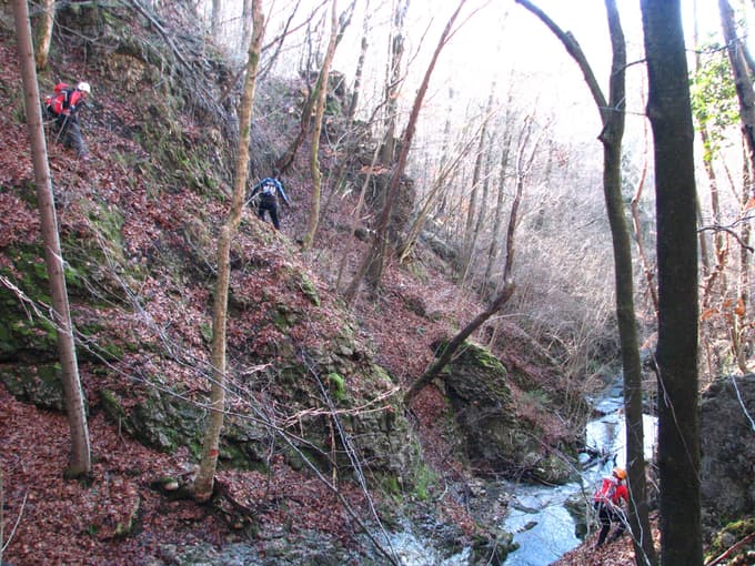 Timi Zajc: "Bil sem neumen, oprali so mi možgane, veliko so me prepričevali." Slovenski orli še niso dojeli, kaj se dogaja