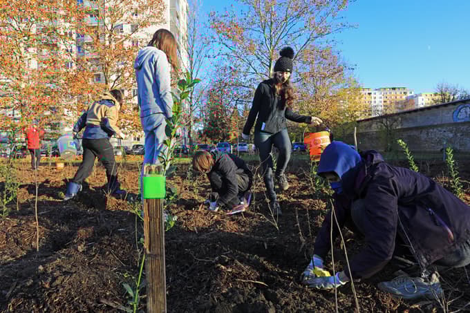 V Magdaleni zasadili gozdiček za blažitev vročine in vplivov prometa