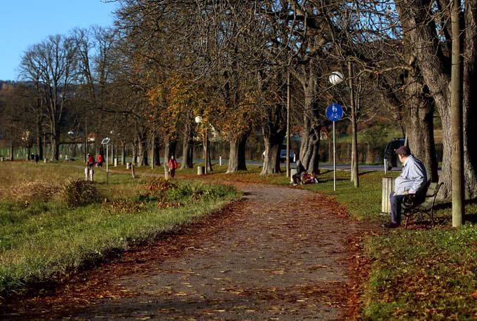 2. Mariborski drevoredi
Start: križišče Tomšičeve ulice in Partizanske ceste
Dolžina: 3,4 km
Približen čas: 47 minut
Težavnost: zelo lahka
Kratek opis: Tudi ta pot je zelo lahka in primerna za vsakogar. Sprehod začnemo na križišču Partizanske ceste in Tomšičeve ulice. Odpravimo se skozi Tomšičev drevored do Mestnega parka. Sprehodimo se do glasbenega paviljona, prečkamo promenado in krenemo proti Rožnemu griču ter se podamo proti stavbi Kmetijsko-gozdarske zbornice Slovenije. Nadaljujemo do učnih nasadov biotehniške šole, zavijemo do Kamniškega drevoreda in krenemo do Račjega dvora.
Foto: Tadej REGENT