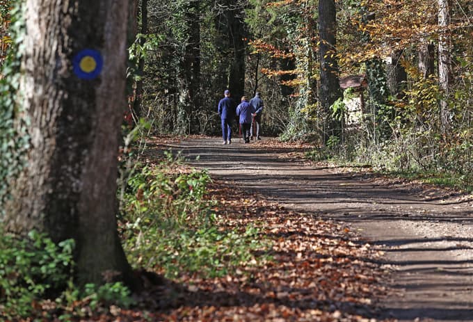 3. Studenški gozd
Start: Srednja lesarska šola
Dolžina: 5,9 km
Približen čas: 1 ura 21 minut
Težavnost: zelo lahka
Kratek opis: Začnemo pri Srednji lesarski šoli in se odpravimo po Lavtarjevi ulici proti zahodu do vstopa v Studenški gozd po gozdni cesti do Drava centra. Preko ježe se vrnemo na križišče gozdnih cest in izberemo srednjo pot. Odpravimo se do ograje elektrarne Mariborski otok in po obodu obhodimo južni del Studenškega gozda.
Foto: Tadej REGENT