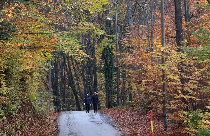 9. Urban
Start: Kamnica
Dolžina: 13,2 km
Približen čas: 3 ure 42 minut
Težavnost: srednje zahtevna
Kratek opis: Začnemo v Kamnici in s Ceste v Rošpoh zavijemo na ulico Pod šolo, kjer lahko uživamo v razgledu na reko, Mariborski otok, elektrarno in jezero. Odpravimo se do Hudičevih skal na cesto čez Medič breg in v dolino Jamšekovega potoka pri kmetiji Hlade. Sledimo markirani poti, ki vodi do cerkve sv. Urbana. Po strmi asfaltni cesti sestopimo proti jugu in pri kapelici zavijemo za kratek čas v gozd do kapelice sv. Lucije ter se spustimo nazaj v Kamnico.
Foto: Tadej REGENT