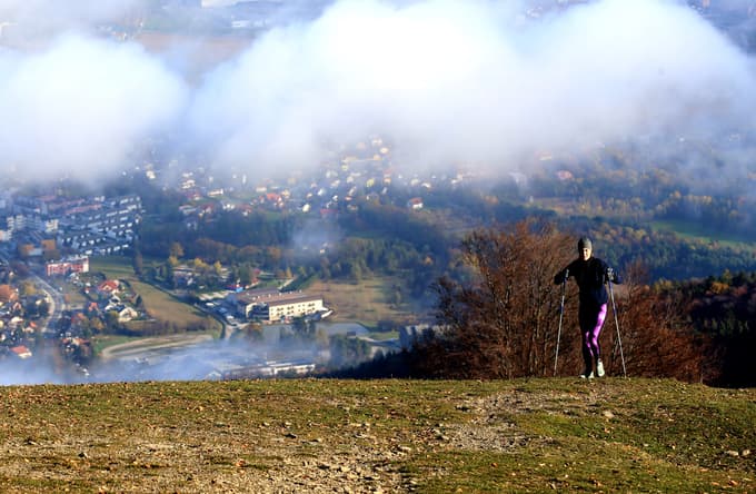 10. Mariborski razglednik
Start: Pot na okope
Dolžina: 16,5 km
Približen čas: 4 ure 49 minut
Težavnost: zahtevna
Kratek opis: Mariborska občina ponuja tudi pravo planinsko pot. Začnemo v ulici Pot na okope, se vzpnemo skozi gozd do gozdne ceste in sledimo tablam do gradišča Poštela. Vzpnemo se do smučišč in po poti čez travnata pobočja pridemo do hotela Bellevue ter se po sprehajalni poti odpravimo do bližnjega Anžejevega križa na bližnje Cigelnice do visokega razglednega stolpa. Vrnemo se do spodnje postaje vzpenjače in pot zaključimo na izhodišču Slovenske planinske poti.
Foto: Tadej REGENT