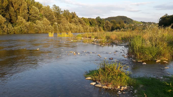(FOTO) Šestmilijonski projekt zaDravo: Lepši časi za ptice, dvoživke, želve ...