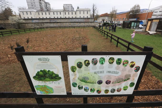 Na območju velikosti teniškega igrišča so zasadili kar 853 dreves in grmovnic.