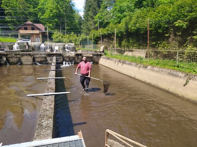 V Framu uresničuje svoje sanje: Kmalu se bo lahko preživljal le s prodajo rib