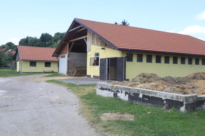 Novi najemnik naj bi razvil jahalno šolo, ustanovil kliniko za reprodukcijo konj in postavil pokrito jahališče. Foto: Igor NAPAST