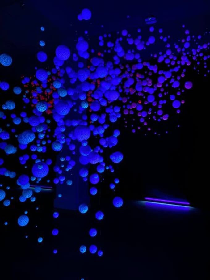 Natalija Črnčec: Ljubezni