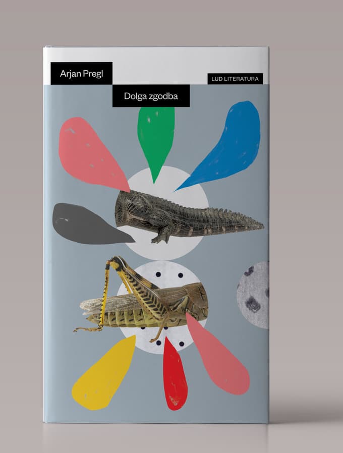 Preglova Dolga zgodba