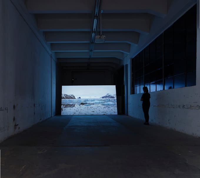 Emilija Škarnulyte: Sirenomelija 