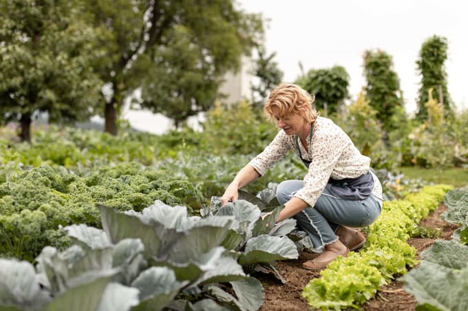 Mihelca Obrovnik Uranjek skrbi za zelejavni vrt, kjer raste skoraj vse.