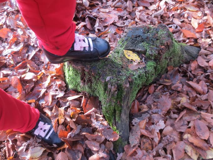 Posnetek otrok Vrtca Tezno