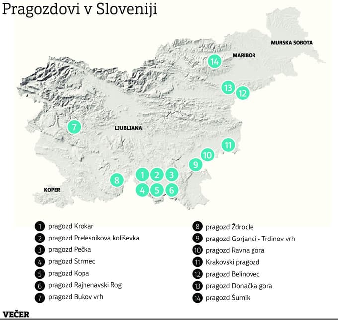 Gozdni rezervati so predragoceni, da bi jih pustili zapraviti