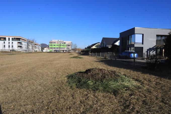 Preiskavo NPU sprožila prodaja zemljišča s "slavnimi" pujski