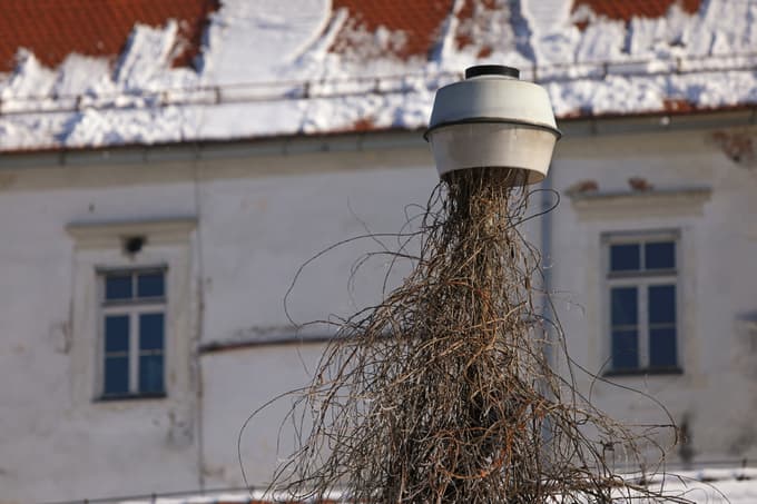 (FOTO) Zakaj Muzeju norosti grozi deložacija iz gradu Cmurek
