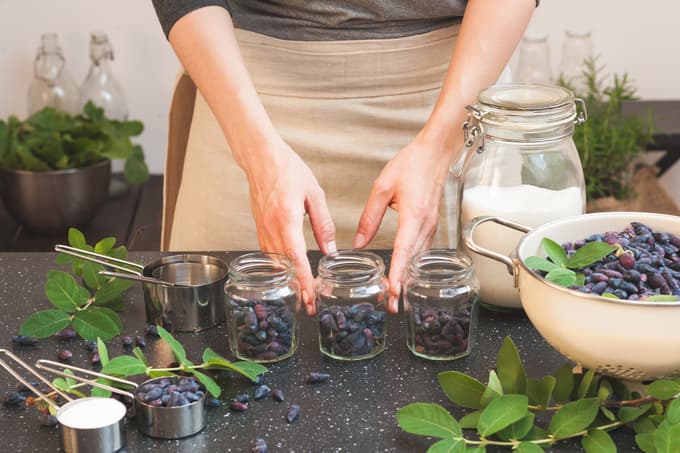 Čas za jagodičje: Tako posadite sibirsko borovnico in aronijo