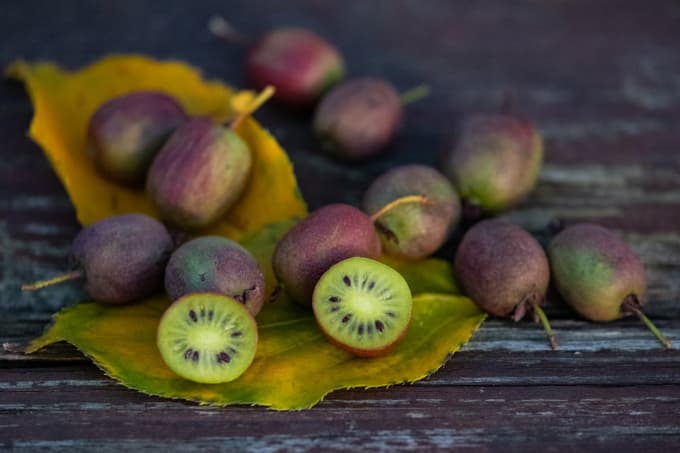 (FOTO) Poznate kivi, ki ni kosmat?
