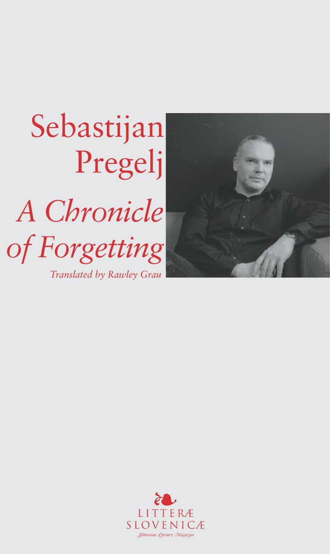 A Chronicle of Forgetting
 