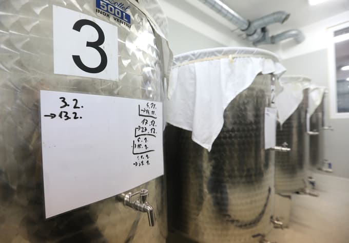 (FOTO) Zgodba prve slovenske kombučarne: "Kovid te nenehno brca, da se ne ustaviš"
