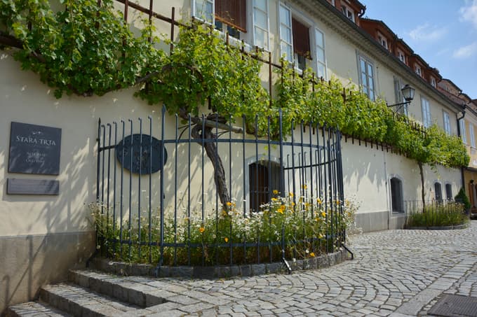 Ideja za prosti čas: Najlepši kolesarski izleti