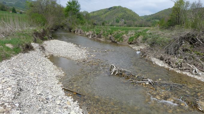 Nepravilno ravnanje z obvodno vegetacijo lahko pripelje do erozije.