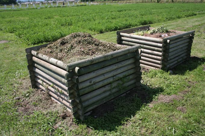 Kompost je najdragocenejša hrana za vrtno zemljo