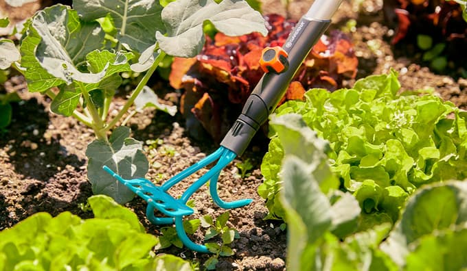 GARDENA combisystem Rahljalnik-grablje omogočajo nežno odstranjevanje plevela iz gredic.