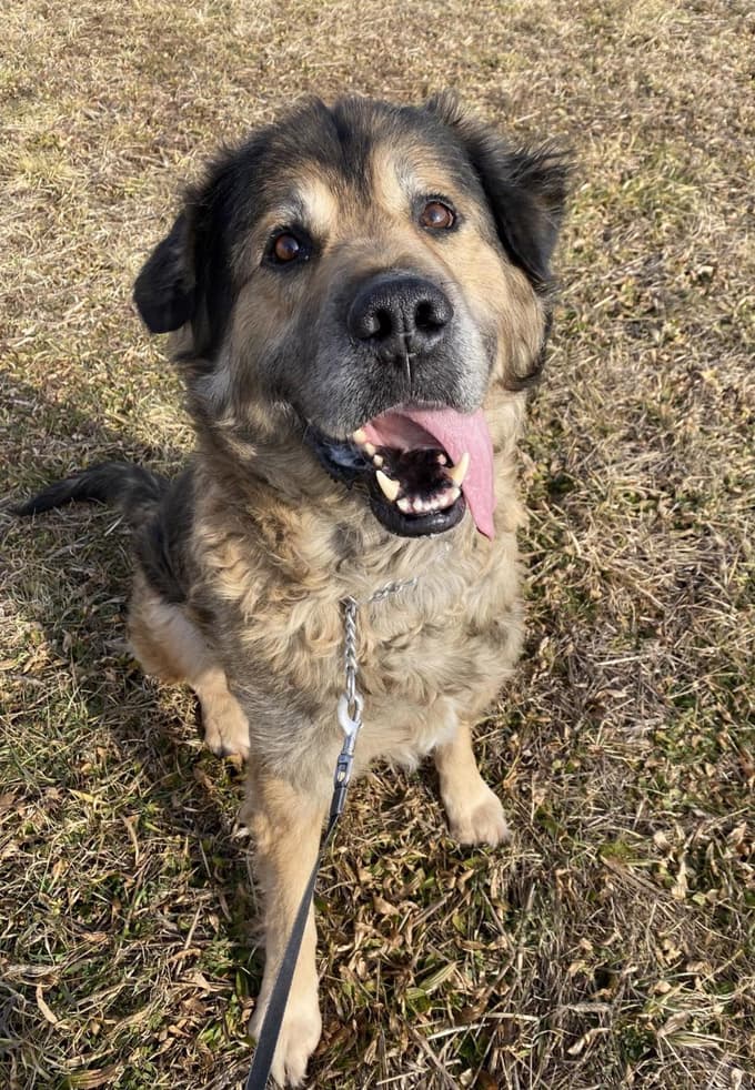 Ron je imel težko življenje.