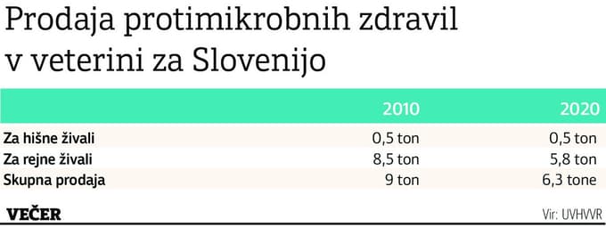 Proti pretirani uporabi antibiotikov v živinoreji tudi uredba. Kakšno je stanje v Sloveniji?
