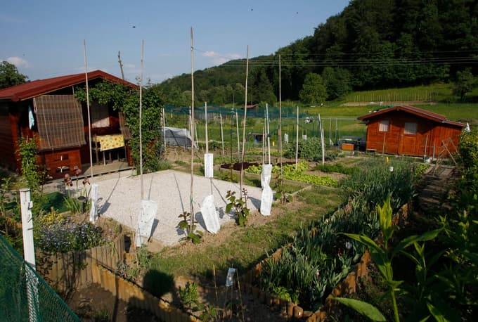 Občinske vrtičke obdeluje 480 Mariborčanov. Interes je ogromen. Koga najbolj zanima vrt in kje v Mariboru ga je mogoče najeti?
