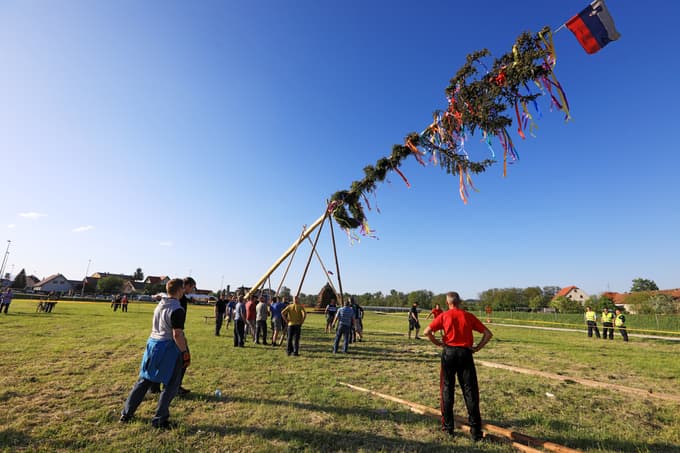 Območje Miklavškega trikotnika v Miklavžu je bilo v preteklih letih bolj znano po postavljanju prvomajskega mlaja.