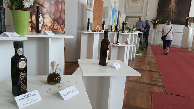 Razstava olj v refektoriju Minoritskega samostana.