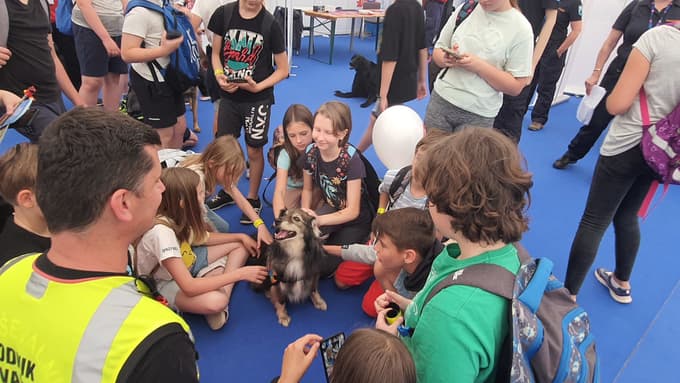 Obiskovalce so navdušili reševalni psi.