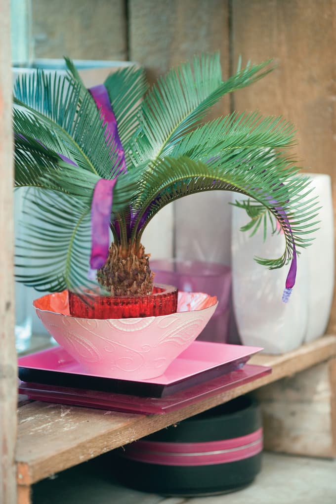 5 sobnih rastlin, ki pomagajo ohranjati hladen dom ob vročinskih valovih