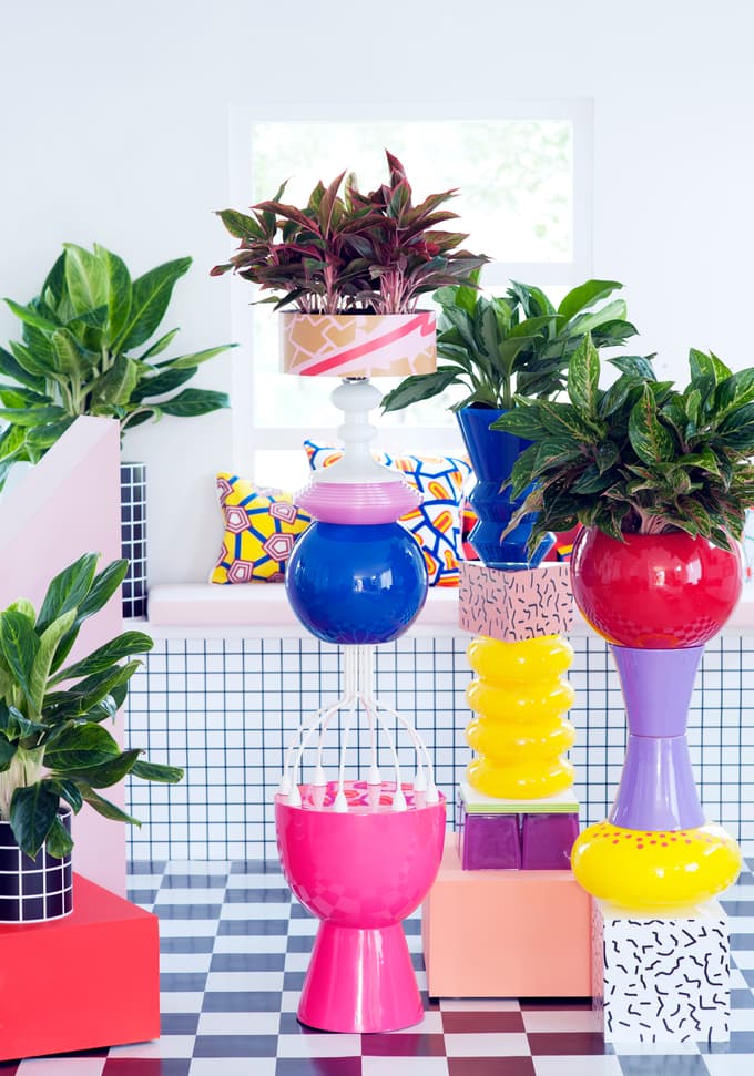 5 sobnih rastlin, ki pomagajo ohranjati hladen dom ob vročinskih valovih