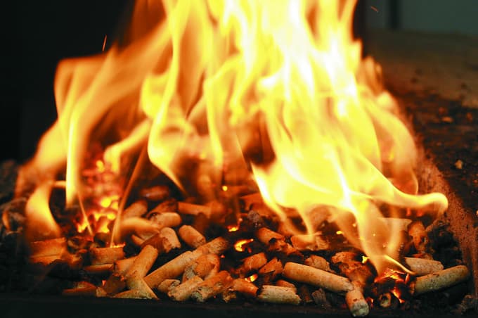 Še posebno izrazita je rast cen lesnih peletov.