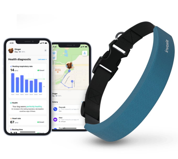 Pametna pasja ovratnica