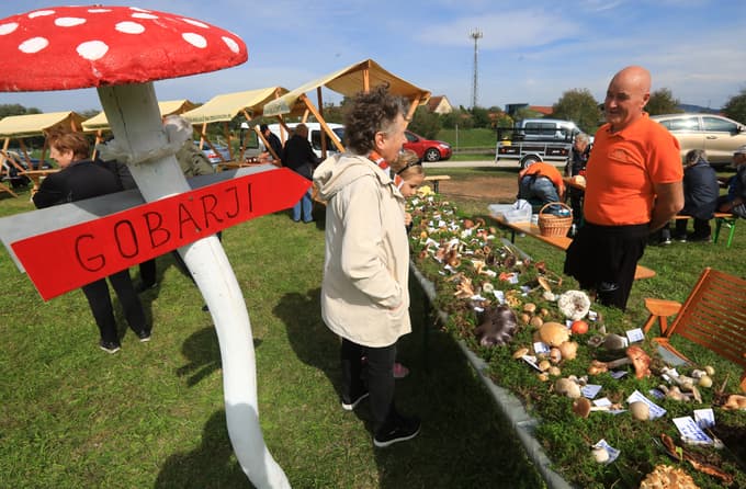 Miklavž - prireditev v organizaciji Turističnega društva Miklavž na Dravskem polju in ostalih društev občine Miklavž - stojnice - delavnice - kuhanje kisle juhe - Razstava gob